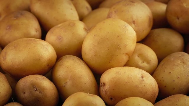 Golden Potatoes Pile Rotating