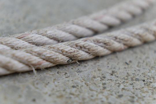 white rope on the dock