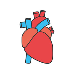 Human heart symbol