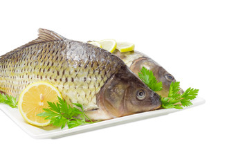 Two different carps prepared for cooking on dish