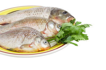 Carp and crucians prepared for cooking on dish