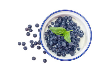 Fototapeta na wymiar Blueberry dessert with sweetened condensed milk close-up