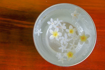 White flowers float in the bowl, Songkran Day, festival of Thailand