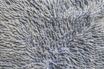 close-up of dirty mop texture