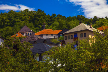Fototapeta na wymiar Travnik