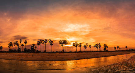 panorama of sunset beach on golden hour