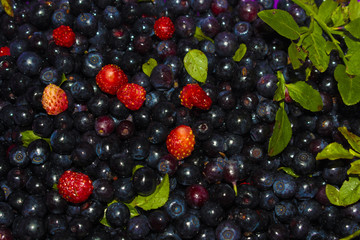 Background of blueberries and strawberries/