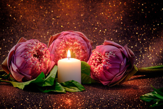 Vintage image style on pink  water lily or lotus flower folding thai style with white candle light  for worship with red bokeh background