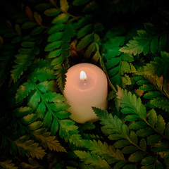 Vintage image style on little white candle lies on green leaves in dark tone background. Religion concept and relax or meditation caption