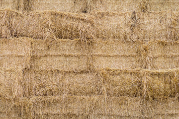 Straw background texture