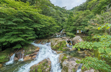Fototapeta na wymiar Shiratani River, Yakushima Island