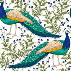 Seamless pattern with peacock, flowers and leaves. Vintage hand drawn vector illustration in watercolor style