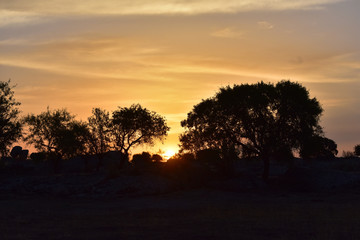 Fototapeta na wymiar Color sunset