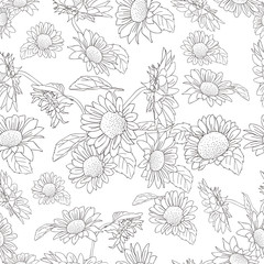 beautiful line sunflower background pattern
