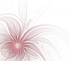 Fototapeta na wymiar Abstract fractal flower on a white background