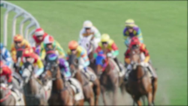 Unfocused shot of Horse race compete on a grass track. (Slow Motion)