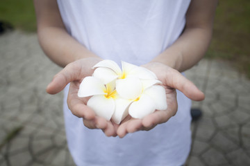 white flower in girl's hand