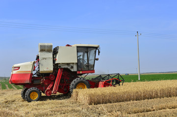 Harvester in wheat
