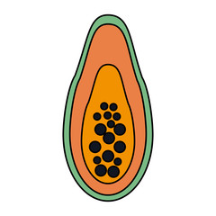 fruit icon image