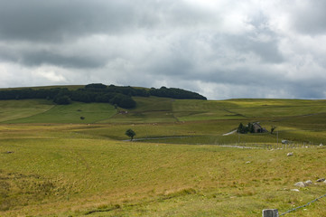 aubrac
