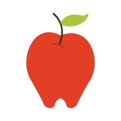 fruit icon image