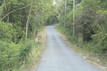Trail to the top of the mountain, Mountain road in mountain valley