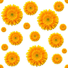  seamless pattern with gerbera flowers
