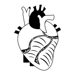 human heart icon image