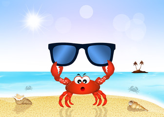 crab with sunglasses on the beach