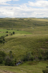 Fototapeta premium Aubrac