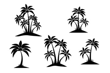 Fototapeta na wymiar Palm silhouette trees isolated on white background. Beautiful vector palm tree set vector illustration