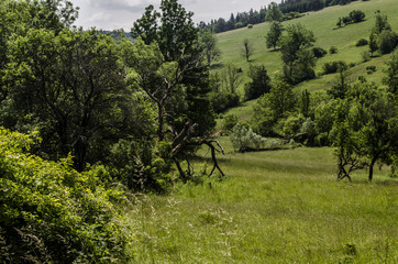 panorama Beskid Niski  © wedrownik52