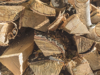 The woodpile of firewood