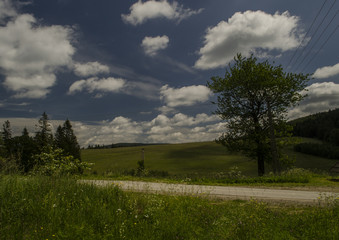 panorama Beskid Niski  © wedrownik52