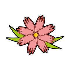 beautiful flower icon