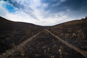 Dopo l'incendio la desolazione