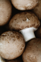 Macro shot of fresh champignons Portobello
