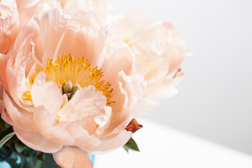 Pink peonies in blue vase on white background