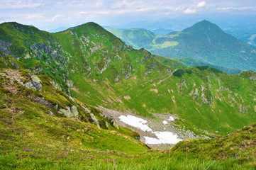 Fototapeta premium Valley among majestic rugged mountain hills and peaks covered in green lush grass, forest, snow leftovers, rhododendron flowers. Sunny cloudy day in summer. Maramures, Carpathian mountains, Ukraine