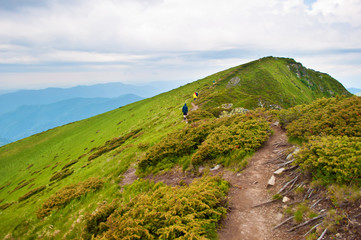 Travelers ascending up a winding brown path leading to majestic green mountain peak and hills covered in green lush grass, bushes. Sunny cloudy day in summer. Maramures, Carpathian mountains, Ukraine
