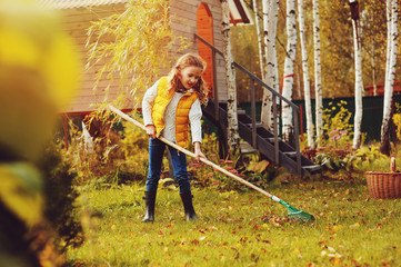 happy child girl playing little gardener in autumn and picking leaves into basket. Seasonal garden work. Backyard cleaning.