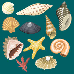 Sea marine animals and shells souvenirs cartoon vector illustration spiral tropical mollusk mussel decoration