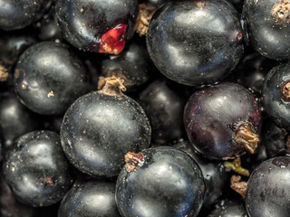 Bunch of black currant