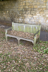 Bench with Winter Leaves, Broadway; Cotswolds