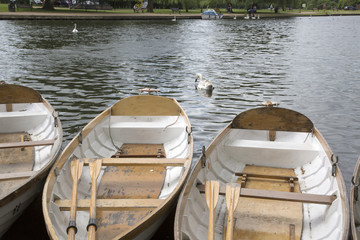 Rowing Boat on River, Stratford Upon Avon, England