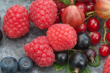 Raspberries, blueberries, gooseberries, leaves are macros