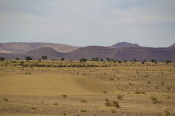 Dunes de sable et montagnes Sahara au Maroc