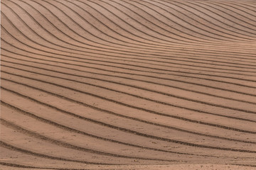 麦畑の畝(うね)の模様　Hilling(Wheat field pattern)