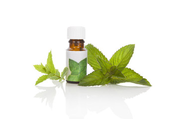 Mint aromatherapy essetial oil.