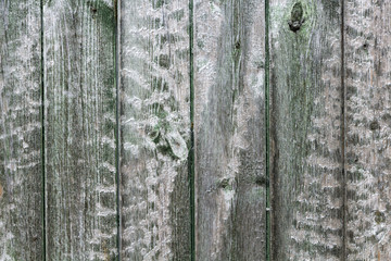 Naklejka premium Holzwand grün mit Maserung